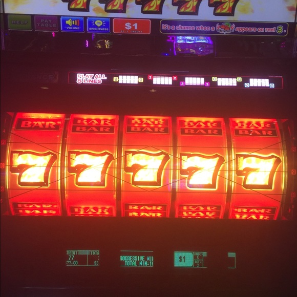 Meet your Posher, Gerald - Picture 4 of 16